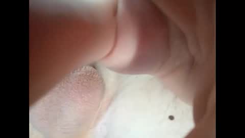 18teenhorny online show from January 15, 2026, 8:19 am