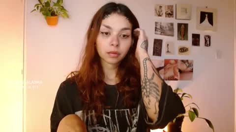 Alaska online show from October 29, 2025, 11:56 am