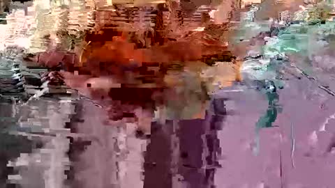 Snapshot of gonadalache chatting on November 17, 2025, 3:56 am gonadalache online show from November 17, 2025, 3:56 am