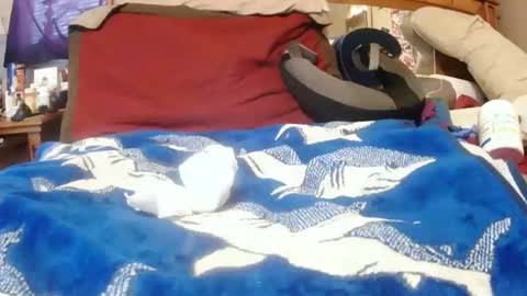 Juicy Booty online show from December 30, 2024, 3:24 pm