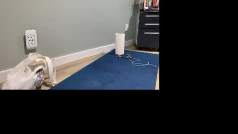 Snapshot of goshlover chatting on November 4, 2025, 5:01 pm GoshLover online show from November 4, 2025, 5:01 pm