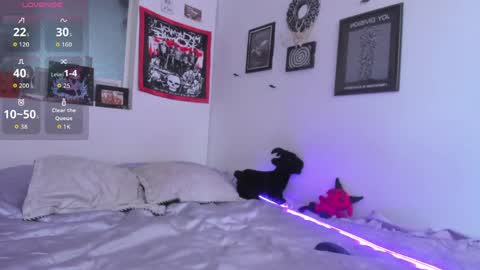 Snapshot of gothic_do11 chatting on May 15, 2026, 5:31 pm hi my name is Elizabeth nice to meet you online show from May 15, 2026, 5:31 pm