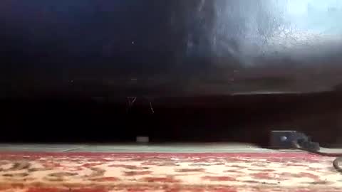 Snapshot of gothicfeetfantasies chatting on March 12, 2025, 3:40 pm Mistress Mommy Godess online show from March 12, 2025, 3:40 pm