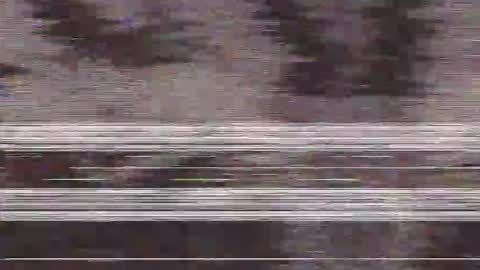        online show from November 5, 2025, 1:55 pm