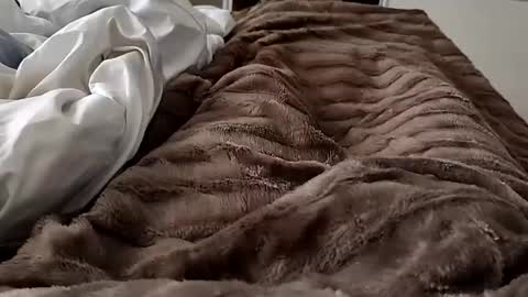 Snapshot of gozaderaxxx chatting on February 14, 2025, 8:42 am Hazme gozar online show from February 14, 2025, 8:42 am