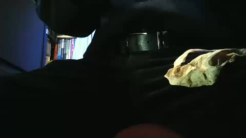 grapefruit online show from March 11, 2026, 9:48 am