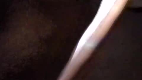 Get US to 1000 you wont be disapointed online show from March 16, 2026, 5:44 am