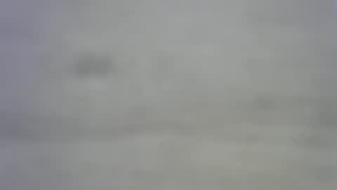 greekmeal1234 online show from February 27, 2025, 8:09 pm