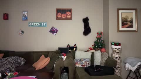 Snapshot of greenxxxqueen chatting on November 24, 2025, 5:51 am SexQueen Nikki online show from November 24, 2025, 5:51 am