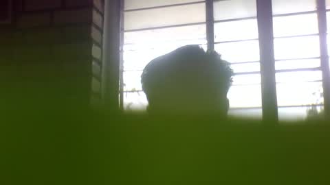 Grey Stud online show from January 24, 2025, 6:57 am