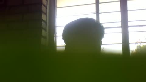 Grey Stud online show from February 14, 2025, 6:56 am