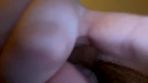 groblol26 online show from January 15, 2026, 7:35 am