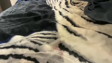 gumbywanna online show from October 24, 2025, 3:25 am