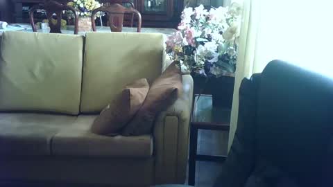 gutobhz249564 online show from March 4, 2025, 6:07 pm