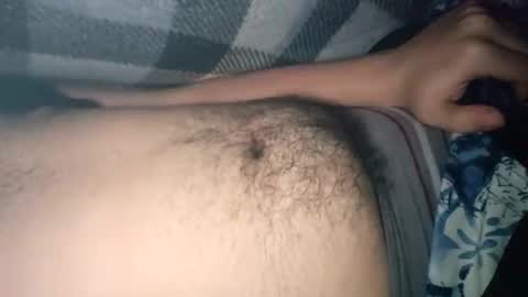 Snapshot of h3rm3s01 chatting on November 30, 2025, 8:46 pm truckerboy online show from November 30, 2025, 8:46 pm