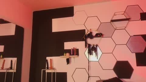 haileycat_ online show from January 25, 2025, 12:27 am