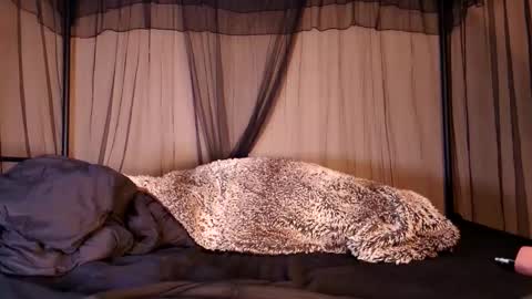 HailWilds online show from September 12, 2025, 6:35 am