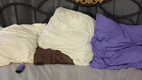 Lylu online show from February 3, 2026, 2:53 am