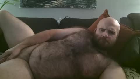 Snapshot of hairiestbear chatting on October 7, 2025, 3:58 am Hairiest Bear online show from October 7, 2025, 3:58 am