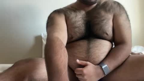 Snapshot of hairyaussie00 chatting on December 23, 2024, 1:29 am hairyaussie00 online show from December 23, 2024, 1:29 am