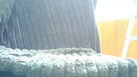 HairyHornyTwinkk online show from October 31, 2025, 9:32 am