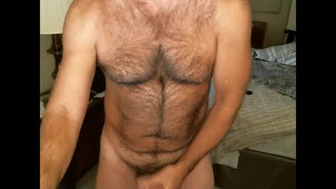 Hairy pecs online show from December 17, 2024, 3:06 am