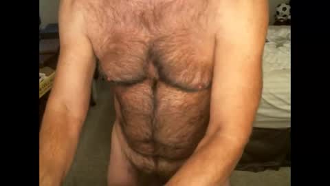 Hairy pecs online show from November 2, 2025, 6:49 am
