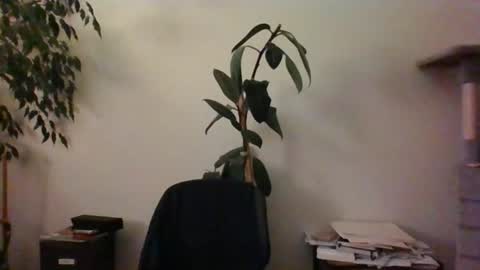 Snapshot of hairypussylover089 chatting on June 24, 2026, 4:11 am hairypussylover089 online show from June 24, 2026, 4:11 am