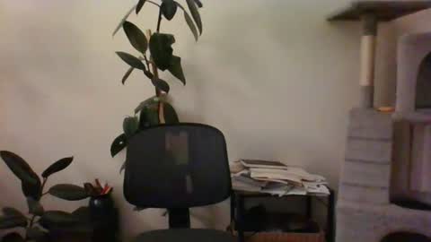 Snapshot of hairypussylover089 chatting on July 12, 2026, 4:36 am hairypussylover089 online show from July 12, 2026, 4:36 am