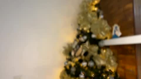 Snapshot of haku_kanjii chatting on December 30, 2024, 2:42 am Independent model online show from December 30, 2024, 2:42 am