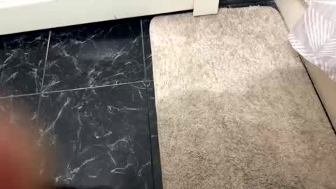 Snapshot of halebb chatting on October 20, 2025, 1:06 am halebb online show from October 20, 2025, 1:06 am