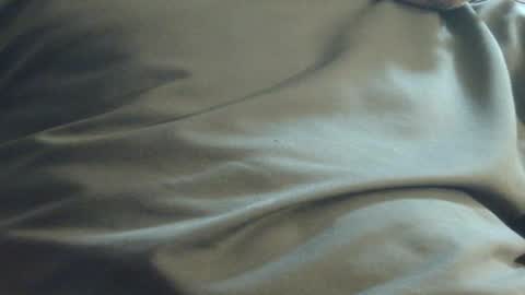 Snapshot of hamhead71 chatting on December 1, 2024, 11:58 pm hamhead71 online show from December 1, 2024, 11:58 pm