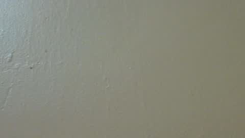 Snapshot of hamhead71 chatting on February 4, 2025, 9:52 pm hamhead71 online show from February 4, 2025, 9:52 pm