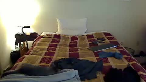 Snapshot of hammerthatthang73 chatting on November 6, 2025, 6:42 pm hammerthatthang73 online show from November 6, 2025, 6:42 pm