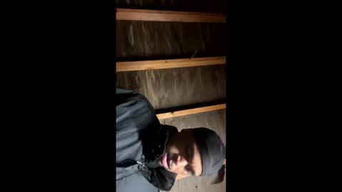 handsomeda1 online show from January 19, 2025, 6:31 am