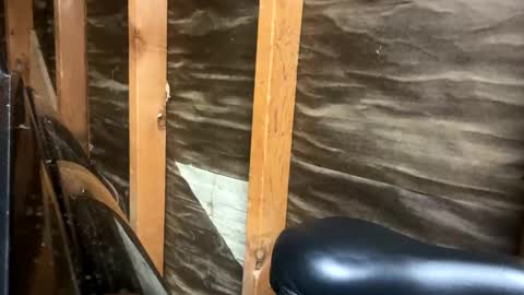 handsomeda1 online show from February 1, 2025, 2:47 am