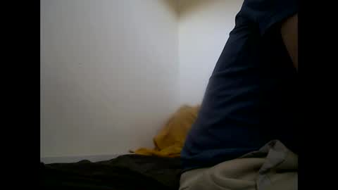 Snapshot of handsomepenis20cm chatting on April 29, 2026, 4:22 pm handsomepenis20cm online show from April 29, 2026, 4:22 pm