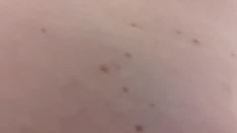 handsomerob42 online show from January 18, 2026, 6:23 pm