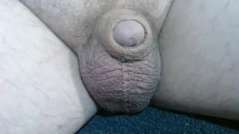 Handyman online show from December 14, 2025, 2:11 pm