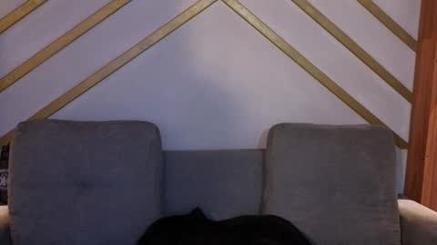 ANA online show from November 22, 2025, 12:04 pm