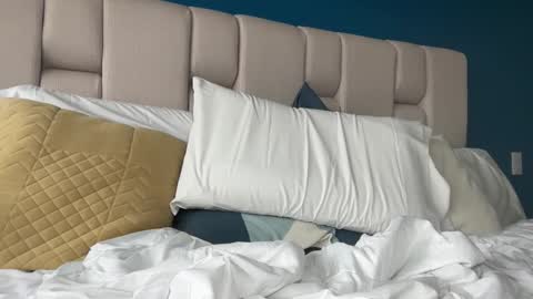 hanzlagerfelt online show from November 4, 2025, 8:52 pm