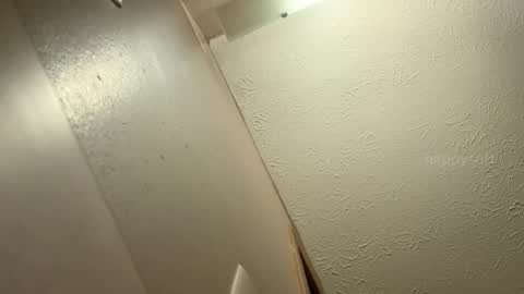 meatwad online show from December 9, 2024, 6:14 pm