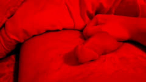 Small things matters online show from March 6, 2026, 7:21 pm