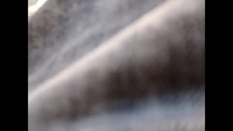 Snapshot of hardandhorny422 chatting on October 14, 2025, 1:56 pm hardandhorny422 online show from October 14, 2025, 1:56 pm