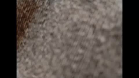 Snapshot of hardandhorny422 chatting on October 15, 2025, 11:54 am hardandhorny422 online show from October 15, 2025, 11:54 am