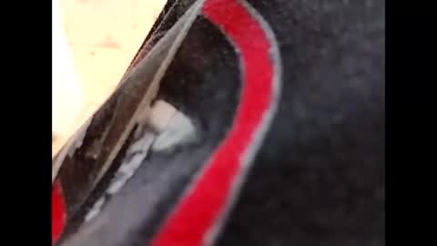 Snapshot of hardandhorny422 chatting on October 16, 2025, 5:14 pm hardandhorny422 online show from October 16, 2025, 5:14 pm