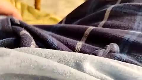 Snapshot of hardandhorny422 chatting on November 30, 2025, 4:33 pm hardandhorny422 online show from November 30, 2025, 4:33 pm