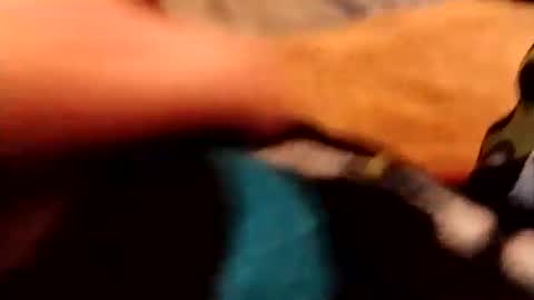 Snapshot of hardandhorny422 chatting on December 4, 2025, 3:54 pm hardandhorny422 online show from December 4, 2025, 3:54 pm