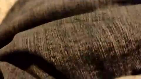 Snapshot of hardandhorny422 chatting on January 5, 2026, 6:44 pm hardandhorny422 online show from January 5, 2026, 6:44 pm