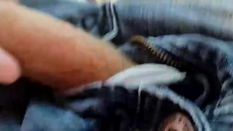 Snapshot of hardandhorny422 chatting on January 7, 2026, 1:02 pm hardandhorny422 online show from January 7, 2026, 1:02 pm